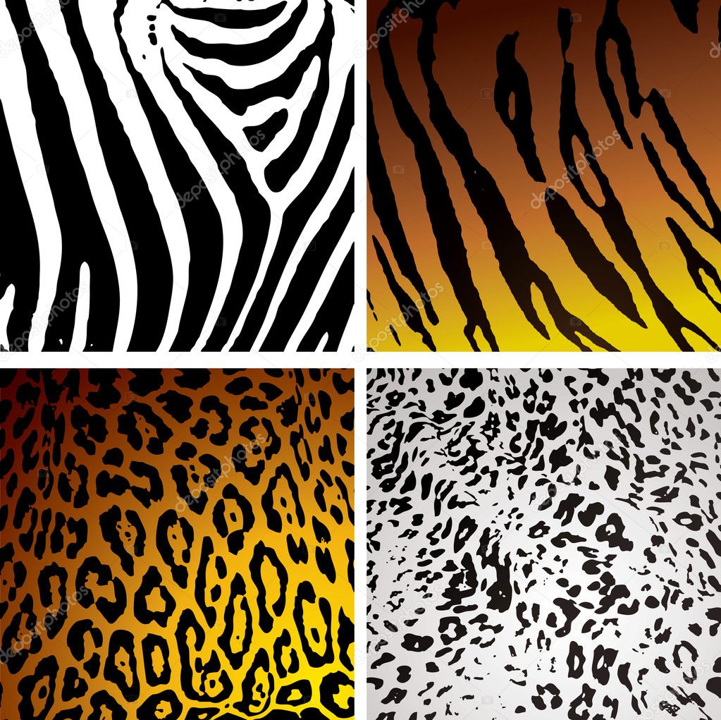 Animal skin variation Stock Vector Image by ©Nicemonkey #1117991