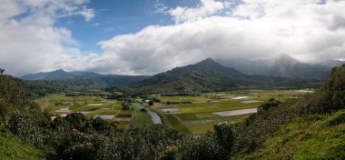 Panorama of Hanalei Valley on Kauai clipart