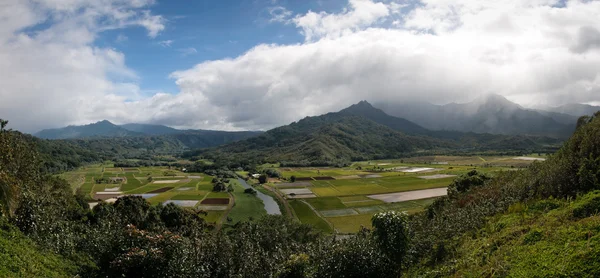 Panorama z hanalei údolí na kauai — Stock fotografie