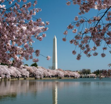 Washington Monument reflected in lake clipart