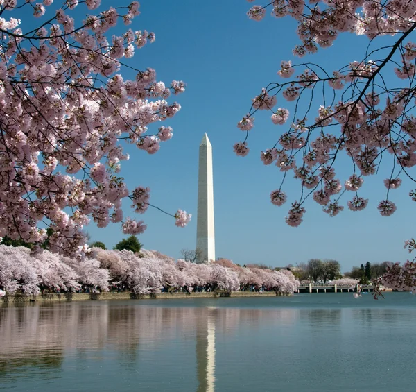 Pomnik Waszyngtona odzwierciedlenie w jeziorze — Zdjęcie stockowe