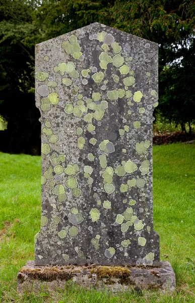 Antiguo marcador de tumba con liquen y musgo — Foto de Stock