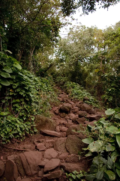 Sentier Kalalau à Kauai — Photo