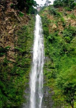 Wli Waterfall in Agumatsa Park in Ghana clipart