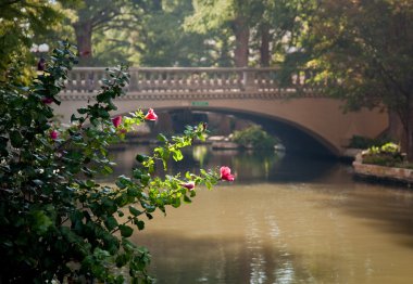 Bright red flowers in front of bridge in clipart