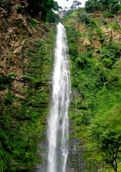 WLI waterval in agumatsa park in ghana — Stockfoto