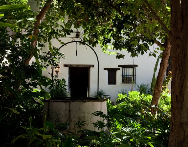 Lummig trädgård i gamla mexikanska hus — Stockfoto