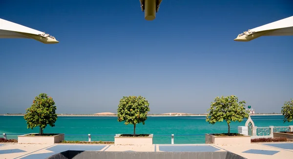 Деревья и залив Абу-Даби — стоковое фото