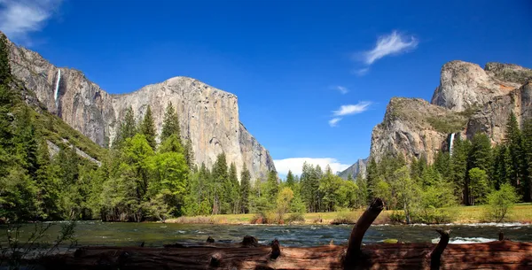 Log framing Yosemite Valley — стокове фото