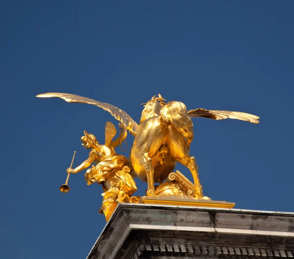 Ovanlig bild på baksidan av gyllene hästen — Stock fotografie