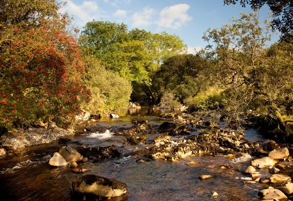 Río que fluye en valle galés — Foto de Stock