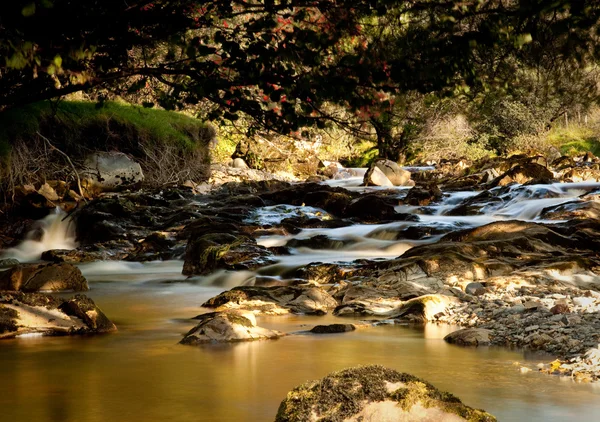 Turf beladen rivier in afgelegen welsh valle — Stockfoto