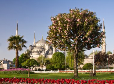 Blue Mosque 3 clipart