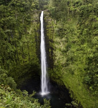 Akaka Falls clipart