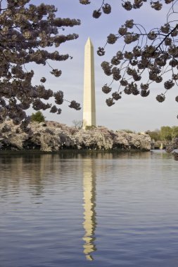 Washington Monument framed with Cherry B clipart