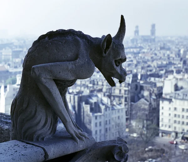 Горгулья с видом на Париж — стоковое фото