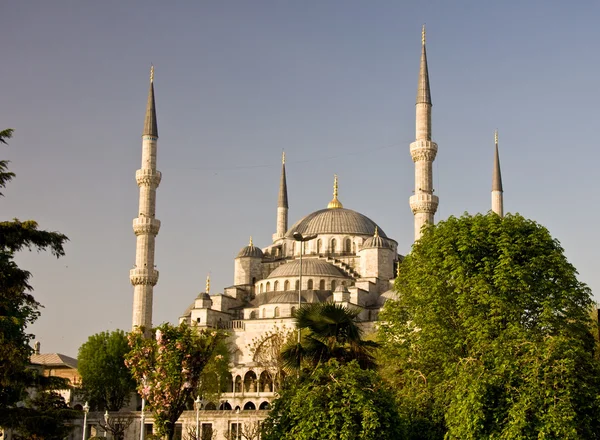 Domes of Blue Mosque — Stock Photo, Image