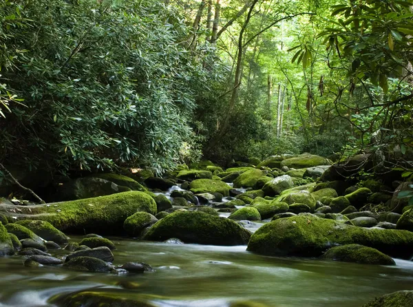Río pacífico que fluye sobre rocas — Foto de Stock