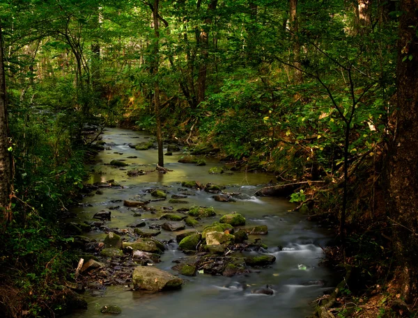 Burbling brook — Stockfoto