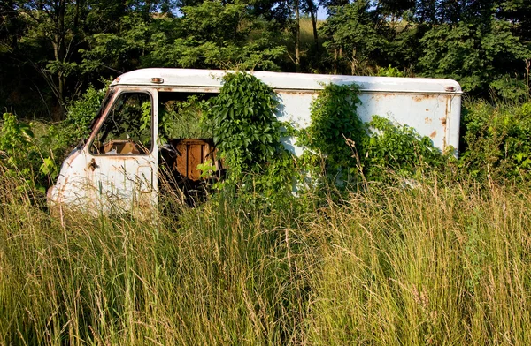Rostiger Lieferwagen im tiefen Gras — Stockfoto