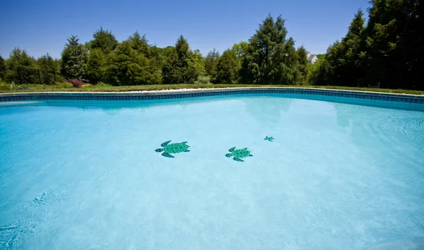 Широкий угол обзора бассейна в саду — стоковое фото