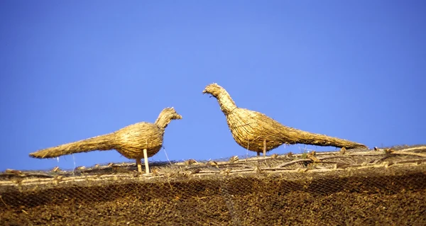 屋根の上のわらぶき屋根の鳥 — Stockfoto