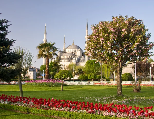 Синя мечеть у Стамбулі — стокове фото