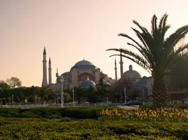 Голубая мечеть на рассвете — стоковое фото