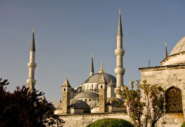 Синяя мечеть 8 — стоковое фото