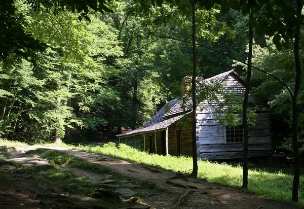 Log Cabine em Smoky Mountains — Fotografia de Stock
