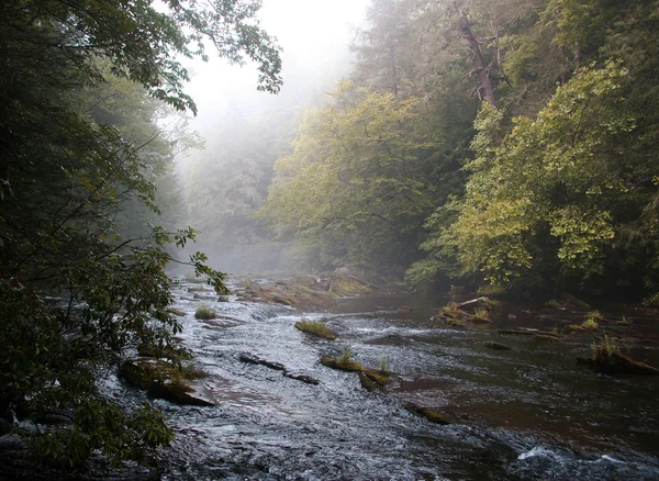 Venkovské řeky v časném podzimu — Stock fotografie