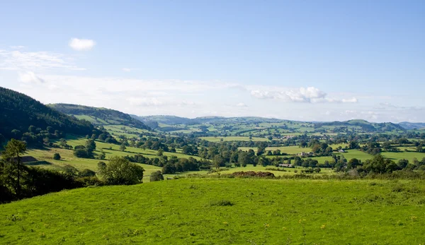 Роллинг сельской местности Уэльса — стоковое фото