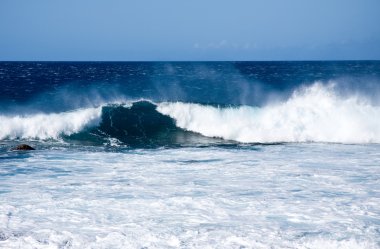 Dalgalar hawaii Sahili rüzgarlı d kapalı