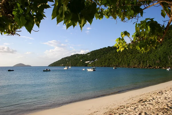 Strand en de baai op het Caribische eiland — Stockfoto