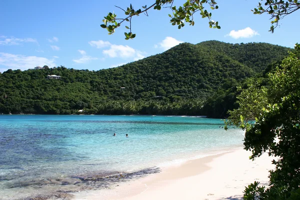 Praia e Baía na ilha caribenha de — Fotografia de Stock