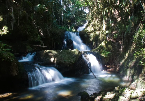 Cachoeira na clareira florestal — Fotografia de Stock
