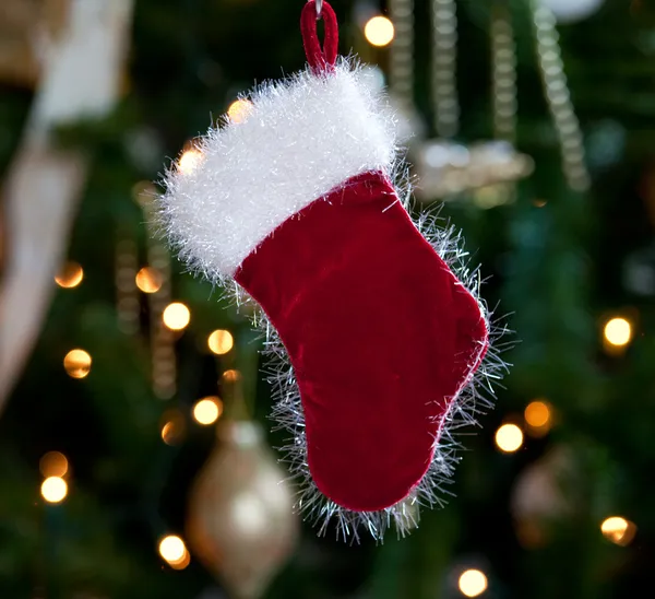 Calza foderata di pelliccia davanti all'albero di Natale — Foto Stock