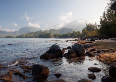 Hanalei'deki defne üzerinde göster