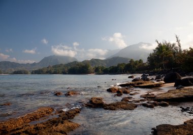 Hanalei'deki defne üzerinde göster