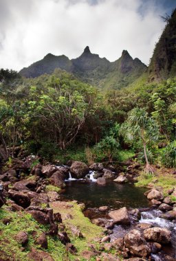 kauai dağdan küçük dere akar