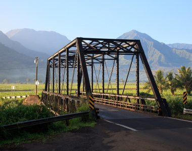 Taro bitkiler hanalei Köprüsü