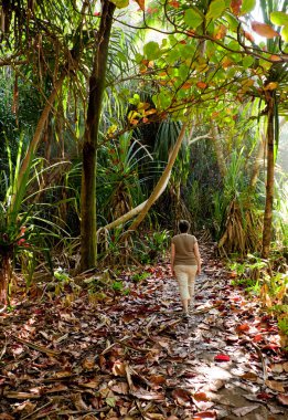 Bayan hiker yolu üzerinde