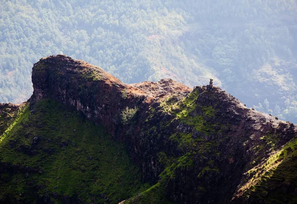 Arkadan aydınlatmalı görünümü aşağı waimea Kanyonu — Stok fotoğraf