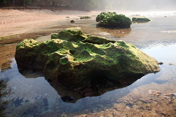 苔藓覆盖的岩反映在游泳池 — 图库照片