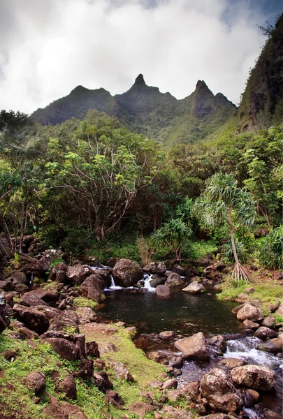Pequeño arroyo fluye desde la montaña Kauai — Foto de Stock