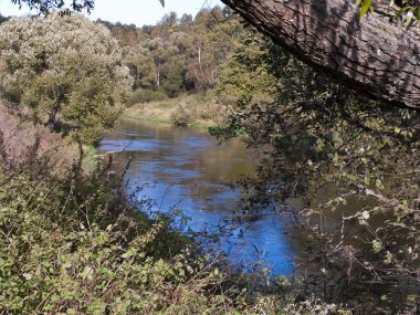sessiz nehir kıyısında
