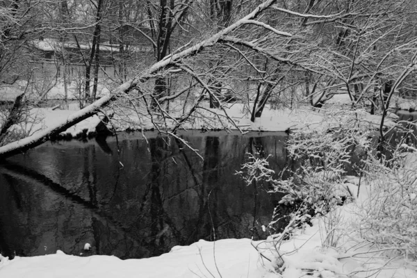 Stock image Winter evening on a river