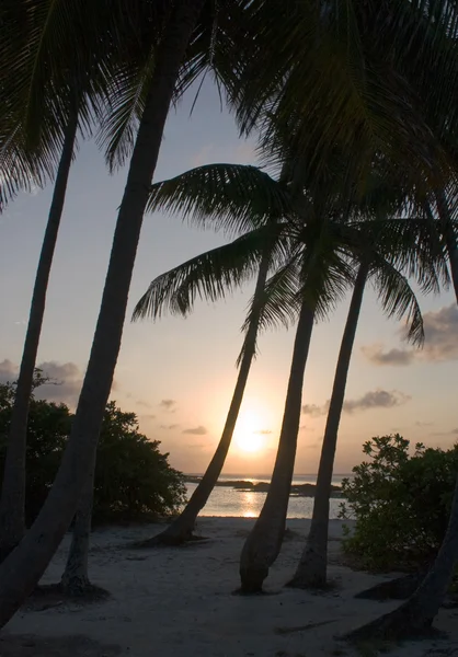 Zonsondergang op eiland — Stockfoto