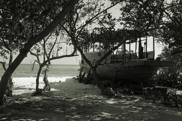 stock image Old boat on coast