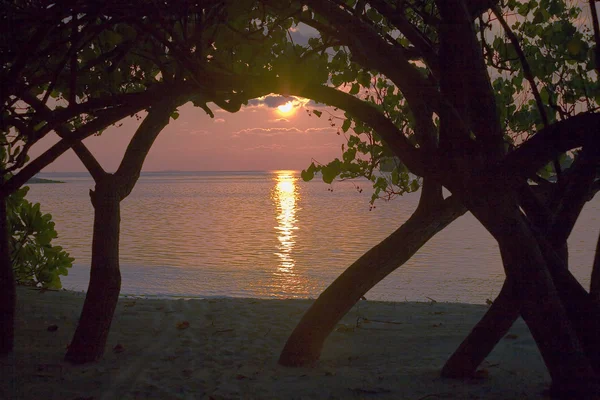 島の夕日 — ストック写真